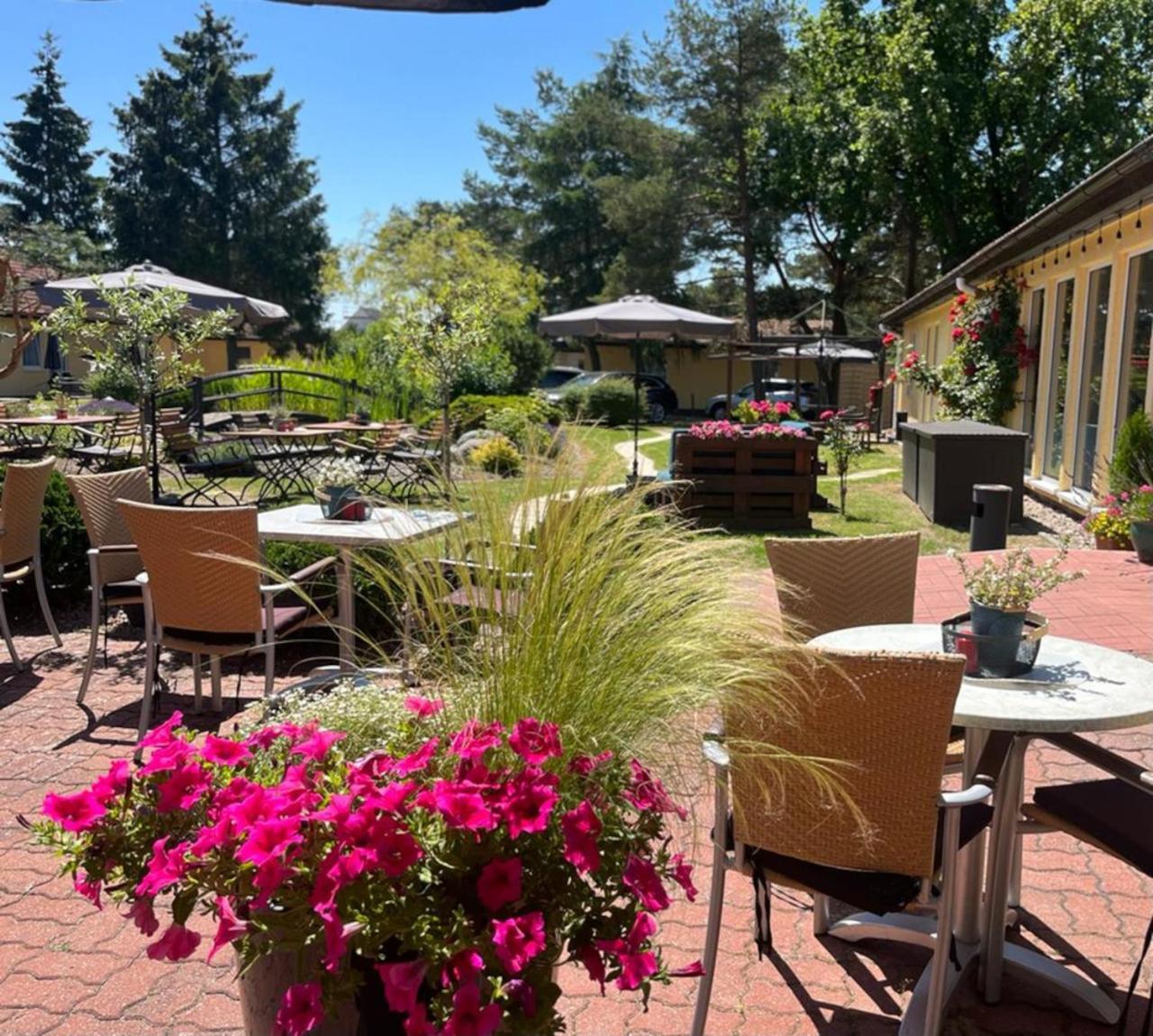Hotel Pommerscher Hof Zinnowitz Luaran gambar